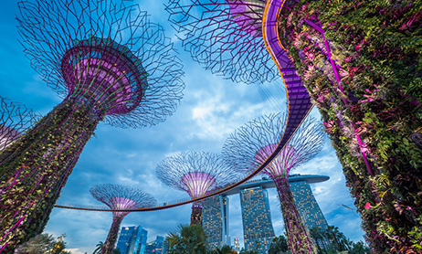 Singapore Supertrees