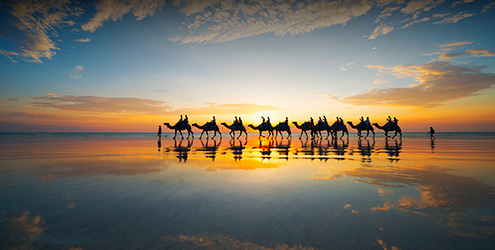 Camels at sunset on Cable Beach, Broome