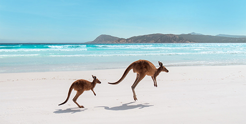 Lucky Bay, Cape Le Grand National Park