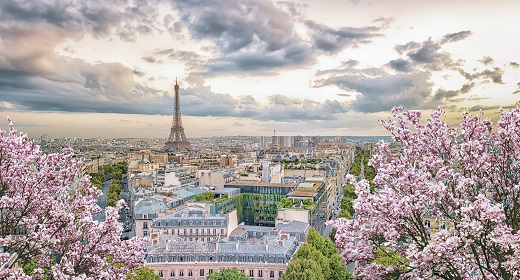 Paris City View