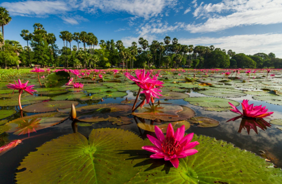 Nature and Outdoors Cambodia