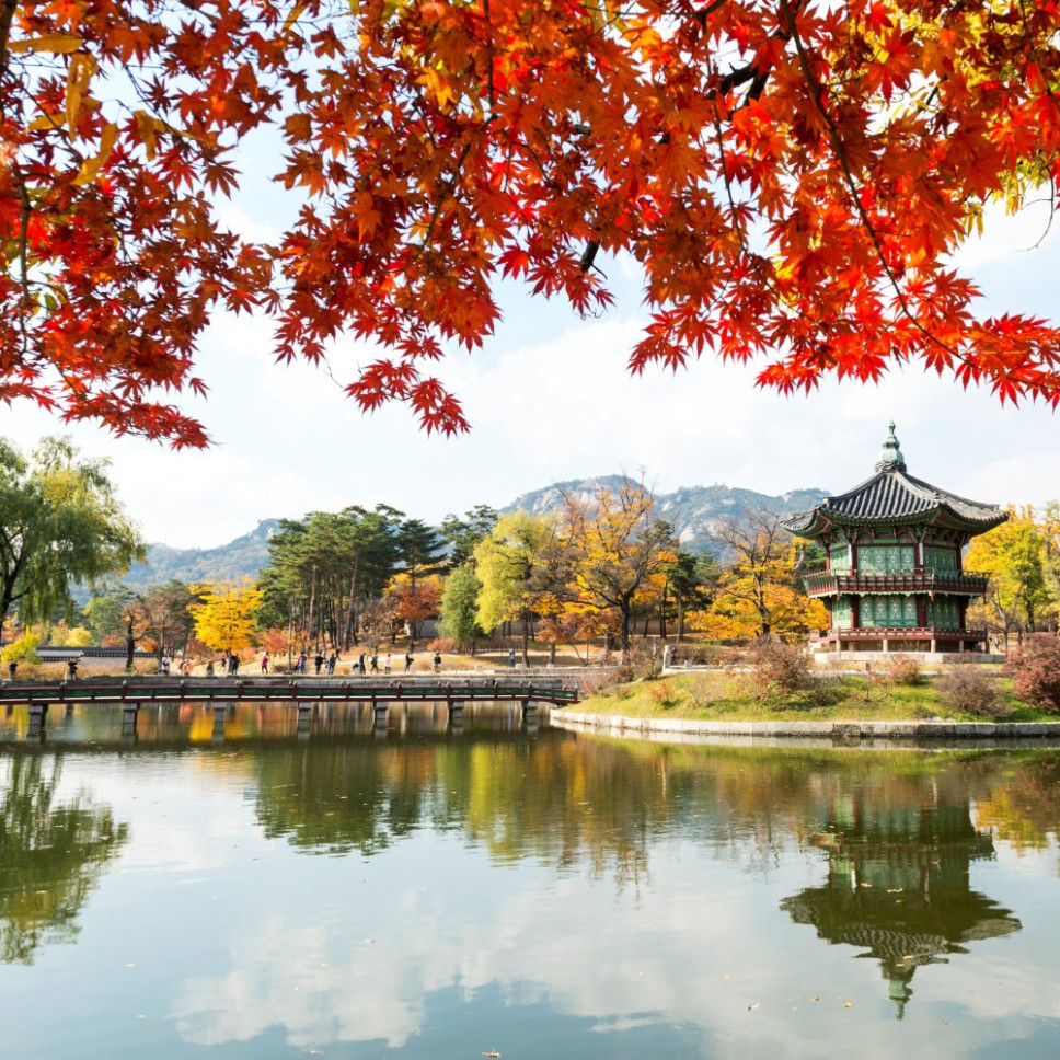 Visit Seoul, with Singapore Airlines