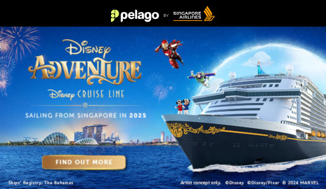 The Disney Adventure with Pelago